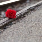 red rose near rail, remembering all victims, of suicide on rail, condolence, humble, loving memory, you are not forgotten, outdoor, humble, humble, humble, humble, humble