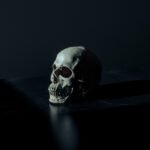 skull, creepy, dark, eerie, scary, dead, human, head, skeleton, halloween