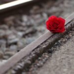 red rose near rail, remembering all victims, of suicide on rail, condolence, humble, loving memory, you are not forgotten, outdoor, humble, humble, humble, humble, humble