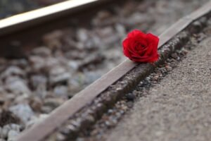 red rose near rail, remembering all victims, of suicide on rail, condolence, humble, loving memory, you are not forgotten, outdoor, humble, humble, humble, humble, humble
